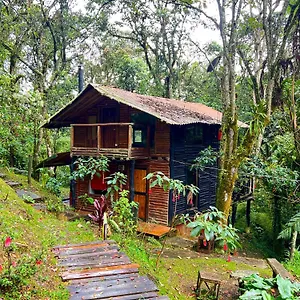la-cabana-musical.colombiamedellinhotels.com/